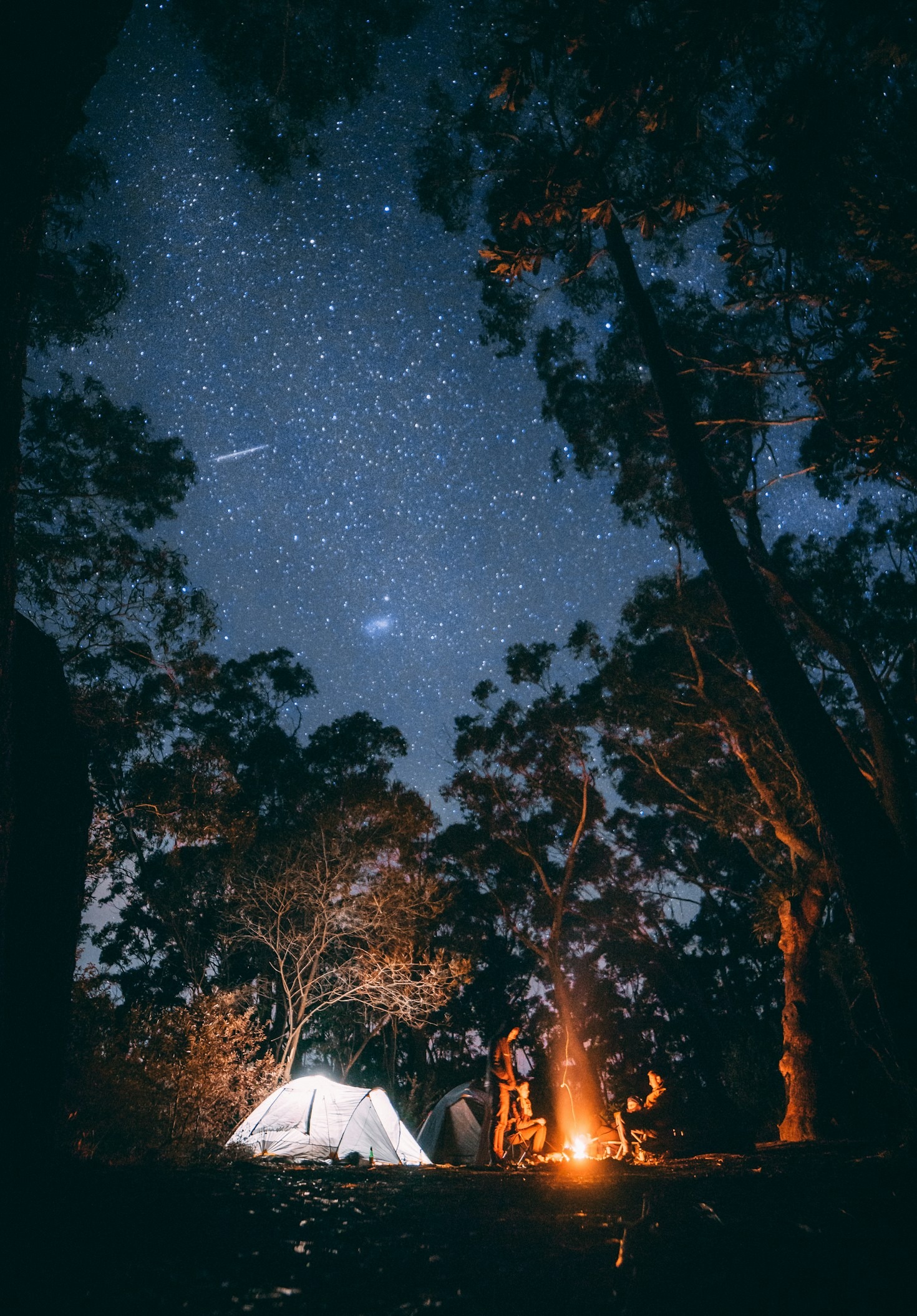 Crafting Narratives From the Road Less Traveled